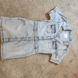 Celebrity Pink Denim Button-Down Dress